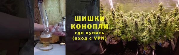 бошки Белокуриха