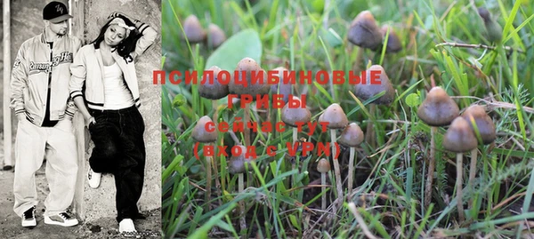 бошки Белокуриха