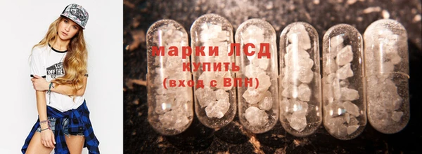 бошки Белокуриха