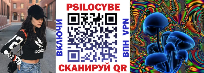 закладка  Мосальск  Галлюциногенные грибы Cubensis 